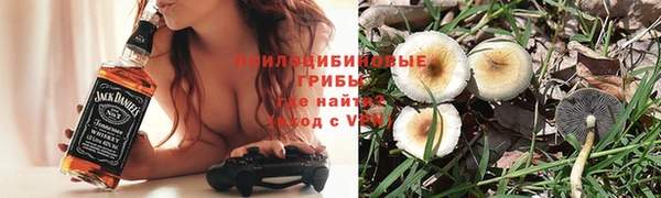 трава Баксан