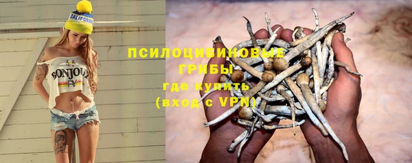 трава Баксан