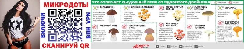 даркнет сайт  Курлово  Галлюциногенные грибы Psilocybe 